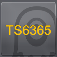 TS6365