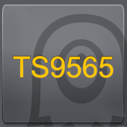 TS9565